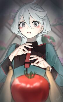 Rule 34 | 2girls, absurdres, blurry, commentary request, depth of field, flat chest, frown, grey hair, gundam, gundam aerial slap (meme), gundam suisei no majo, hair between eyes, highres, holding, meme, miorine rembran, multiple girls, open mouth, signature, suletta mercury, tetto (onnoveltet), tomato, white hair