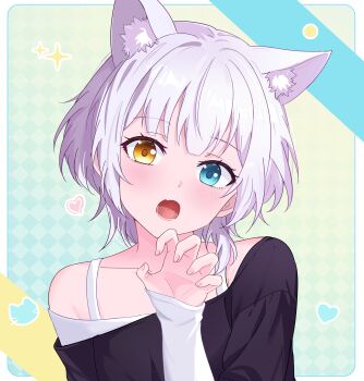 Rule 34 | 1girl, absurdres, animal ear fluff, animal ears, bang dream!, bang dream! it's mygo!!!!!, black shirt, blue eyes, blush, brown eyes, cat ears, collarbone, fang, head tilt, heterochromia, highres, kaname raana, kemonomimi mode, long sleeves, off-shoulder shirt, off shoulder, open mouth, shirt, short hair, skin fang, sleeves past wrists, solo, upper body, white hair, white sleeves, xiongji z z