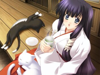 1girl animal animal_on_lap baby_animal black_cat black_hair blue_eyes calico_(pattern) cat cup dog from_above game_cg goma_satoshi green_tea hakama hakama_skirt holding holding_animal holding_cat japanese_clothes kimono long_hair looking_at_animal miko munakata_aoi on_lap open_mouth oshiete_miko_sensei oshiete_miko_sensei_(series) porch puppy red_hakama sitting skirt tea veranda wooden_floor