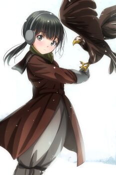 1girl absurdres animal bird black_hair blush brown_coat brown_eyes coat eagle earmuffs falconry gloves green_scarf grey_gloves grey_pants highres long_hair long_sleeves looking_at_viewer low_ponytail matsunaga_kouyou medium_hair original outdoors pants ponytail scarf snow solo standing winter