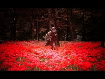 1girl black_coat boots coat expressionless field flower flower_field forest grey_eyes grey_hair hair_over_one_eye highres isekaijoucho kamitsubaki_studio letterboxed long_hair mohe_onpu multicolored_hair nature photo_background red_hair shorts solo spider_lily two-tone_hair very_long_hair