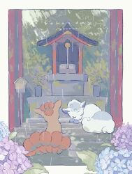 alolan_form alolan_vulpix animated architecture artist_name blue_flower border brown_eyes character_name closed_eyes east_asian_architecture facing_away flower flower_pot from_behind gen_1_pokemon gen_7_pokemon hashtag-only_commentary hydrangea lantern looking_to_the_side lying nintendo no_humans on_stairs outdoors plant pokemon pokemon_(creature) potted_plant purple_flower rain shrine sitting sleeping stairs tagme torii u_u video vulpix white_border wooden_lantern yurano_(upao)