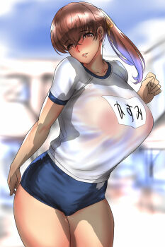 1girl blush breasts brown_eyes brown_hair buruma character_name dead_or_alive huge_breasts judge_(oekaki) kasumi_(doa) long_hair looking_at_viewer ponytail see-through_clothes shirt short_sleeves
