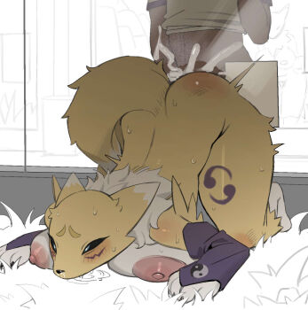 1boy 1girl alternate_breast_size_(larger) animal_ears animal_hands animal_nose black_sclera blue_eyes blush body_fur breast_press breasts claws colored_sclera commentary cum cum_in_pussy digimon digimon_(creature) drooling english_commentary facial_mark fox_ears fox_girl fox_tail furry furry_female glory_hole highres huge_breasts neck_fur nipples purple_sleeves renamon saliva shota sign snout solo_focus sweat sweatdrop tail two-tone_fur vaginal white_fur yellow_fur zhou135627