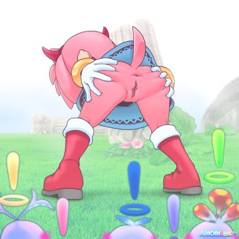absurdres amy_rose anon0567 anus ass bare_legs chao_(sonic) clitoris exhibitionism from_behind furry groin hedgehog highres huge_ass legs loli looking_at_another no_panties perineum presenting public_indecency pussy sega sonic_(series) sonic_adventure spread_anus spread_ass standing tail watching