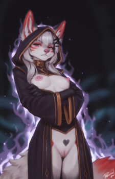 1girl animal_ears animal_nose aura black_gloves black_robe breasts closed_mouth crossed_arms dark_aura female_focus fox_ears fox_girl fox_tail furry furry_female gloves grey_fur grey_hair highres hood hood_up long_hair long_sleeves nipples open_clothes open_robe original personal_ami pussy robe small_breasts solo tail uncensored