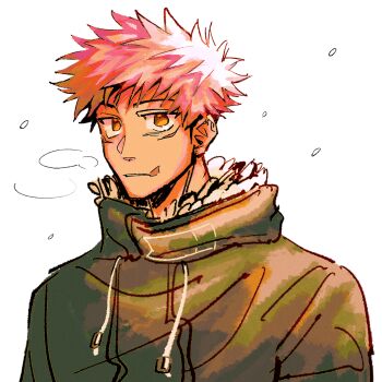 1boy absurdres black_coat breath brown_eyes choppy_bangs coat commentary english_commentary highres itadori_yuuji jujutsu_kaisen looking_at_viewer male_focus pink_hair scar scar_on_face short_hair snowing solo spiked_hair spurkj upper_body white_background