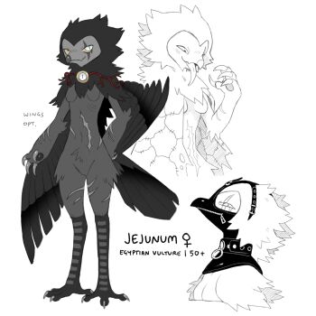 1girl beak bird bird_girl bird_legs black_collar black_mask blind breasts claws collar colored_sclera eyeball feathered_wings full_body furry furry_female grey_claws grey_feathers highres jejejunum jejenum_(jejejunum) mask navel original reference_sheet scar scar_across_eye scar_on_arm scar_on_face scar_on_leg simple_background sketch_inset small_breasts smile standing vulture white_background white_eyes wings yellow_sclera