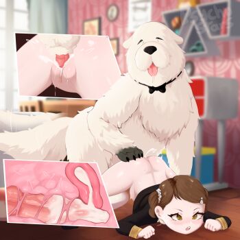 1boy 1girl animal animal_penis animal_sexualization ass becky_blackbell bestiality black_dress black_socks blurry blurry_background bond_(spy_x_family) bottomless brown_eyes brown_hair clothes_lift cross-section cum cum_in_pussy cum_inflation cum_overflow dress dress_lift ejaculation eyebrows eyelashes foot_out_of_frame hetero highres indoors inflation jack-o&#039;_challenge knotted_penis loli long_sleeves looking_afar matching_hair/eyes multiple_views open_mouth panties panties_around_leg penis per_teeth_only pink_panties psychostars pussy sex sex_from_behind short_hair short_twintails socks spy_x_family surprised teeth twintails uncensored underwear uterus vaginal variant_set white_fur