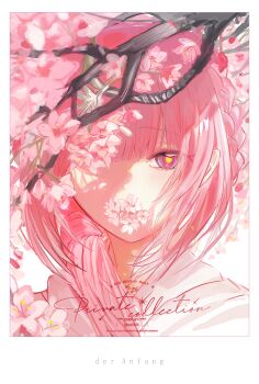 Rule 34 | 1girl, absurdres, cherry blossoms, commentary, english text, flower, flower in mouth, german text, highres, hood, hoodie, kaf (kamitsubaki studio), kamitsubaki studio, long hair, meeime114514, one eye covered, pink hair, purple eyes, red pupils, solo, virtual youtuber, white background, yellow pupils