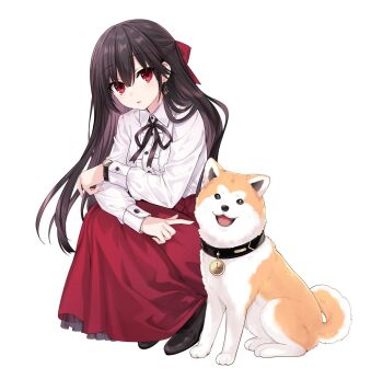 1girl :o artist_request bell black_hair black_ribbon black_shoes collared_shirt date_a_live dog hair_ribbon highres leash long_hair long_skirt long_sleeves neck_bell parted_lips red_eyes red_ribbon red_skirt ribbon second-party_source shiba_inu shirt shoes simple_background skirt solo squatting tokisaki_kurumi white_background white_shirt