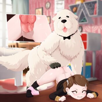 1boy 1girl animal animal_penis animal_sexualization ass becky_blackbell bestiality black_dress black_socks blurry blurry_background bond_(spy_x_family) bottomless brown_eyes brown_hair clenched_teeth clothes_lift constricted_pupils dress dress_lift eyebrows eyelashes foot_out_of_frame hetero highres indoors jack-o'_challenge knotted_penis loli long_sleeves looking_afar matching_hair/eyes multiple_views panties panties_around_leg penis pink_panties psychostars pussy sex sex_from_behind short_hair short_twintails socks spy_x_family teeth twintails uncensored underwear vaginal variant_set white_fur