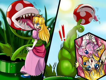 ! !! 1girl bad_end before_and_after blonde_hair blue_eyes cross-section crown digesting_girl digestion drooling helpless highres imminent_death inside_creature krlitosss licking licking_another&#039;s_face mario_(series) nintendo open_mouth outdoors peril piranha_plant plant princess princess_peach scared sunlight vore warp_pipe wide-eyed