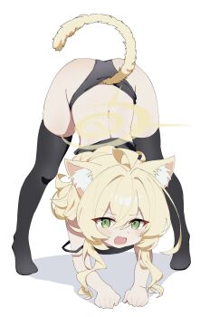 1girl absurdres ahoge alternate_costume animal_ear_fluff animal_ears ass bent_over black_panties black_pantyhose black_shirt black_thighhighs blonde_hair blue_archive blush cat_ears cat_girl cat_tail dot_nose fang feet green_eyes hair_between_eyes halo hands_on_floor highres kemonomimi_mode loli long_hair long_sidelocks meng_yin no_shoes open_mouth panties pantyhose professor_niyaniya_(blue_archive) shirt sidelocks simple_background solo strap_slip tail thighhighs thighs top-down_bottom-up underwear white_background yellow_halo