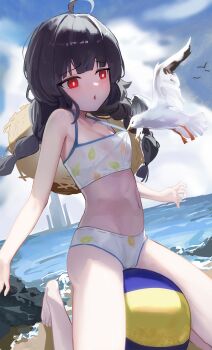 1girl absurdres ahoge ball beach beachball bikini bikini_pull bird black_hair blue_archive blue_sky braid breasts clothes_pull cloud cloudy_sky commentary_request covered_erect_nipples day hat_on_back highres kneeling long_hair looking_at_animal low_twintails miyu_(blue_archive) miyu_(swimsuit)_(blue_archive) ocean official_alternate_costume open_mouth outdoors red_eyes rock seagull see-through_bikini see-through_clothes sky small_breasts sokiu_(dongxiasokiu) solo swimsuit twin_braids twintails white_bikini
