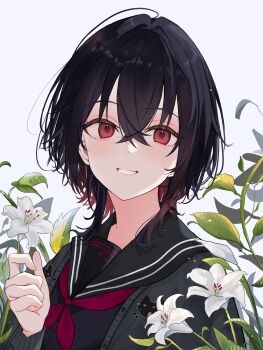 1girl absurdres black_cardigan black_hair black_sailor_collar blush cardigan flower gradient_hair highres kisaragi_ren_(vtuber) lily_(flower) long_sleeves multicolored_hair neckerchief open_cardigan open_clothes parted_lips red_eyes red_hair red_neckerchief sailor_collar short_hair simple_background smile solo upper_body virtual_youtuber vspo! white_background white_flower yuzufu
