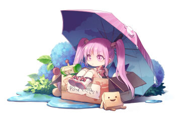 Rule 34 | 1girl, box, cardboard box, chibi, commentary request, creature, for adoption, in box, in container, katamari damacy, long hair, moji-kun, mojipittan, ninjin (charat7), purple eyes, purple hair, sitting, sophie (tales), tales of (series), tales of graces, the prince (katamari damacy), twintails, umbrella, water