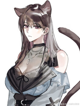1girl animal_ears bang_dream! bang_dream!_it's_mygo!!!!! breasts brown_hair cat_ears cat_girl cat_tail chinese_commentary closed_mouth commentary_request ear_piercing feiyu30903448 highres jewelry kemonomimi_mode large_breasts long_hair mole mole_under_eye necklace piercing purple_eyes shiina_taki solo tail upper_body