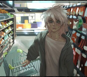 Rule 34 | 1boy, backlighting, commentary, danganronpa (series), danganronpa 2: goodbye despair, english commentary, green eyes, green jacket, highres, jacket, komaeda nagito, limdsay-loo, looking at viewer, male focus, shirt, shop, shopping cart, solo, solo focus, sweatdrop, white hair, white shirt
