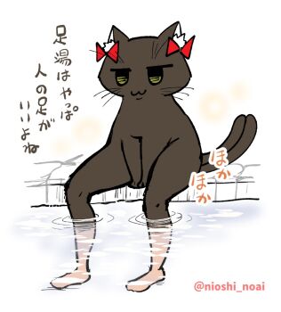 :3 animal_focus black_cat bow cat commentary_request human_legs kaenbyou_rin kaenbyou_rin_(cat) multiple_tails no_humans noai_nioshi red_bow sitting soaking_feet tail touhou translation_request twitter_username two_tails white_background