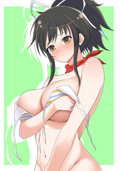 1girl abiron absurdres asuka_(senran_kagura) bikini black_hair blush border breasts brown_eyes cleavage commentary_request covering_breasts covering_privates embarrassed green_background hair_ribbon highres large_breasts medium_hair navel ponytail red_scarf ribbon scarf senran_kagura sidelocks solo swimsuit untied_bikini_top white_border white_ribbon