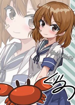 1girl ahoge bandaid bandaid_on_face blue_neckerchief blue_sailor_collar blue_skirt brown_eyes brown_hair crab highres kantai_collection kurano_kisuke neckerchief oboro_(kancolle) pleated_skirt sailor_collar school_uniform shirt short_hair signature skirt smile solo striped_background twitter_username white_shirt