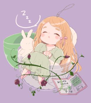 1girl blush braid brown_hair closed_eyes cup dress flower fumi_(pixiv23513263) green_dress hair_ribbon highres in_container in_cup interlocked_fingers own_hands_together pink_ribbon pink_shoes ribbon rose shoes sleeping stuffed_animal stuffed_rabbit stuffed_toy zzz