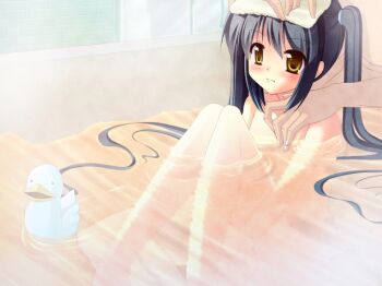 1girl ao_no_yume bath bath_toy bathing bathing_another bathroom bathtub black_hair blush closed_mouth female_focus long_hair natsumiya_yuzu nude original rubber_duck solo twintails very_long_hair washing_another yellow_eyes