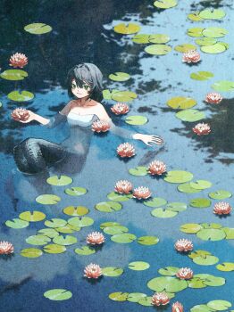 Rule 34 | 1girl, :3, absurdres, artbook, bare arms, bare shoulders, bikini, bikini top only, black hair, blush, breasts, cleavage, closed mouth, collarbone, fish, flower, from above, full body, green eyes, grey tail, highres, holding, holding flower, lake, light smile, lily pad, long hair, medium breasts, mermaid, monster girl, nature, non-web source, original, partially submerged, potg (piotegu), reflection, reflective liquid, scan, solo, swimsuit, water, water lily flower, white bikini