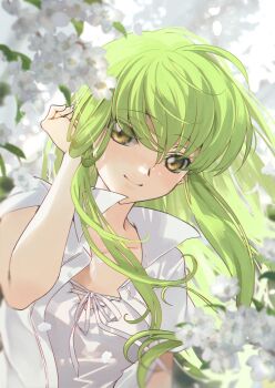 1girl blurry blurry_background blurry_foreground branch c.c. closed_mouth code_geass commentary_request creayus day floating_hair flower green_hair hair_between_eyes hand_in_own_hair long_hair open_clothes open_shirt outdoors shirt short_sleeves smile solo split_mouth upper_body white_flower white_shirt yellow_eyes