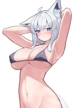 1girl absurdres animal_ears armpits arms_behind_head bikini bikini_top_only black_bikini blue_eyes blush bottomless breasts closed_mouth collarbone deaver fox_ears fox_girl fox_tail groin highres hololive large_breasts looking_at_viewer medium_breasts out-of-frame_censoring shirakami_fubuki simple_background solo swimsuit tail virtual_youtuber white_background