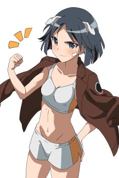 1girl animal_ears bandaid bandaid_on_face black_eyes black_hair black_jacket blush brave_witches breasts clenched_hand collarbone dog_ears dog_girl feet_out_of_frame highres jacket kanno_naoe looking_at_viewer military_uniform naguramu navel open_clothes short_hair shorts simple_background small_breasts smile solo sports_bra standing stomach white_background world_witches_series