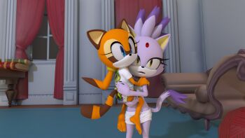 2girls 3d blaze_the_cat carrying carrying_person crop_top feet furry highres jewelry marine_the_raccoon multiple_girls necklace ponytail sega shirt skirt sonic_(series) underwear viewportnorm