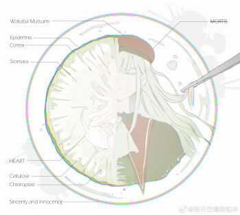 1girl ascot bang_dream! bang_dream!_it&#039;s_mygo!!!!! black_capelet capelet chinese_commentary chromatic_aberration closed_eyes closed_mouth commentary_request cucumber diagram dissection green_hair hat highres long_hair mortis_(bang_dream!) mortis_(costume)_(bang_dream!) petri_dish red_hat reiboubyou solo wakaba_mutsumi watermark weibo_watermark white_ascot