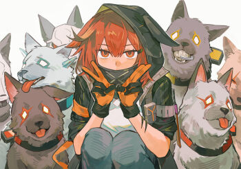 1girl absurdres animal_collar animal_ears animalization arknights black_gloves black_hoodie blue_pants character_request chinese_commentary collar commentary_request crownslayer_(arknights) dopperu_ben frostnova_(arknights) gloves highres hood hood_up hoodie hyena_ears looking_at_viewer mask material_growth mouth_mask orange_gloves oripathy_lesion_(arknights) pants patriot_(arknights) red_hair shirt short_hair simple_background solo squatting talulah_(arknights) two-sided_gloves white_background white_shirt wolf