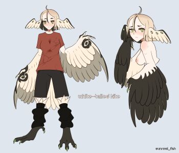 1girl absurdres ahoge bird_legs bird_tail black_feathers black_hair black_shorts black_socks black_wings blonde_hair blue_background blush breasts bright_pupils claws colored_inner_hair commentary digitigrade english_commentary feathers green_eyes green_nails hair_between_eyes highres loose_socks medium_breasts multicolored_hair multiple_views nipples nude original parted_bangs red_shirt shirt short_hair shorts shoulder_blush simple_background slit_pupils socks tail talons twitter_username two-tone_wings unreal_fish white_feathers white_pupils white_wings wings