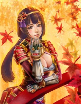 against_railing armor black_hair blunt_bangs breasts brown_eyes cleavage cleavage_cutout clothing_cutout hair_ornament ii_naotora large_breasts leaning_forward leaves lips long_hair mole mole_on_breast railing sengoku_musou twintails