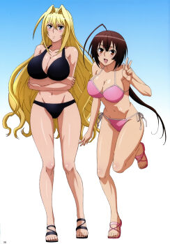 2girls absurdres ahoge arms_under_breasts bikini black_bikini blonde_hair blue_background blue_eyes breasts brown_eyes brown_hair cleavage crossed_arms frown full_body gokurakuin_sakurako gradient_background hair_between_eyes hair_intakes halterneck highres holding_own_arm huge_ahoge huge_breasts large_breasts legs long_hair low_ponytail multiple_girls musubi open_mouth pink_bikini pink_sandals ponytail sandals scowl sekirei side-tie_bikini_bottom standing standing_on_one_leg string_bikini swimsuit thighs tsukiumi v-shaped_eyebrows very_long_hair wavy_hair white_background wide_hips