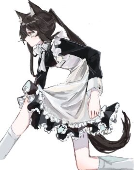 animal_ears apron arknights black_hair black_tail highres maid maid_apron marin_(jaguchi38) simple_background socks tail texas_(arknights) thighs white_apron white_background white_socks wolf_ears wolf_girl wolf_tail yellow_eyes