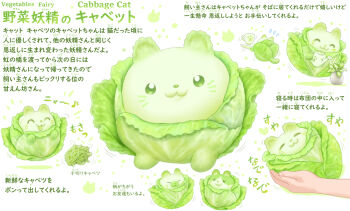 :3 cabbage cat cup floating food-themed_creature green_eyes highres holding holding_watering_can leaf out_of_frame oyasai_yousei_to_manabu_yasai_no_chishiki_zukan ponkichi_(ponkichim) watering_can white_background