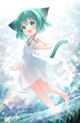 Rule 34 | 1girl, :d, animal ears, backlighting, barefoot, blush, cat ears, cat tail, day, dress, dutch angle, feet, flat chest, grass, green eyes, green hair, highres, kito (sorahate), legs, md5 mismatch, open mouth, original, outdoors, see-through silhouette, sleeveless, sleeveless dress, smile, solo, standing, standing on one leg, sunlight, tail, water, webp-to-png conversion, white dress