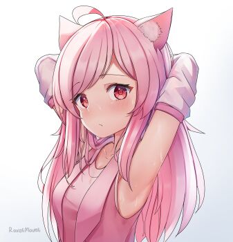 1girl absurdres ahoge animal_ears armpits arms_behind_head arms_up blush cat_ears cat_girl closed_mouth cowlick curious detached_sleeves frown highres hot long_hair looking_at_viewer original pink_hair presenting_armpit ravimo red_eyes signature simple_background solo sweat virtual_youtuber white_background