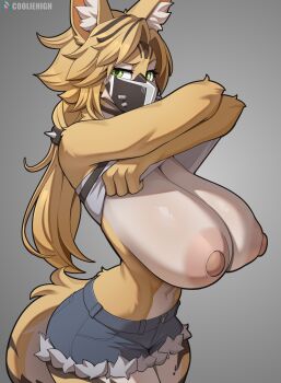1girl animal_ear_fluff animal_ears blonde_hair blue_shorts body_fur breasts brown_hair cat_ears cat_girl cat_tail clothes_lift commentary cooliehigh cowboy_shot english_commentary furry furry_female green_eyes highres huge_breasts huge_nipples lifting_own_clothes long_hair looking_at_viewer mask mouth_mask multicolored_hair pulchra_fellini shirt shirt_lift shorts solo striped_hair tail two-tone_fur two-tone_hair white_fur white_shirt yellow_fur zenless_zone_zero