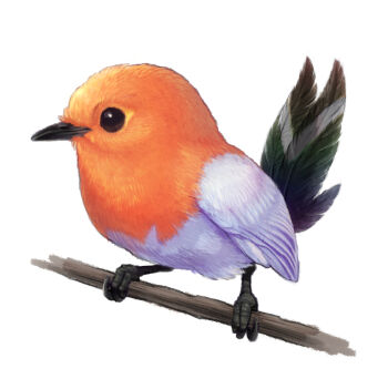 beak bird fletchling full_body gen_6_pokemon highres nintendo no_humans on_branch pokemon pokemon_(creature) realistic simple_background solo ticklishcicada white_background