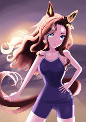 Rule 34 | 1girl, absurdres, animal ears, bare shoulders, blue eyes, blue one-piece swimsuit, breasts, brown hair, cleavage, clothing cutout, commentary, competition school swimsuit, cowboy shot, daring heart (umamusume), ear covers, highres, horse ears, horse girl, large breasts, long hair, looking at viewer, magune, multicolored hair, one-piece swimsuit, school swimsuit, single ear cover, single vertical stripe, solo, streaked hair, sunset, swimsuit, tail, tail through clothes, tracen swimsuit, umamusume, white hair