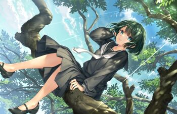 1girl :3 black_serafuku blue_eyes blue_sky game_cg green_hair highres in_tree kaguyuzu kuryo_nozomi looking_at_viewer nature nie_no_hakoniwa non-web_source outdoors school_uniform serafuku short_hair sitting skirt sky smile solo sparkling_eyes sunlight tree