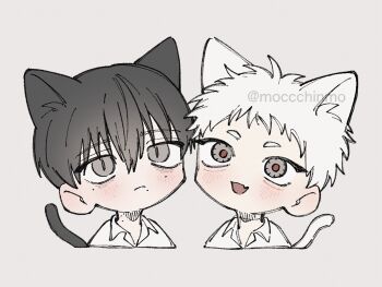 Rule 34 | 2boys, animal ears, black hair, black tail, blush, cat boy, cat ears, cat tail, chibi, collared shirt, commentary request, cropped shoulders, grey background, grey eyes, highres, hikaru ga shinda natsu, indou hikaru, male focus, moccchinmo, mole, mole on cheek, mole on neck, mole under eye, mole under mouth, multiple boys, multiple moles, red pupils, shirt, short eyebrows, short hair, simple background, slit pupils, tail, tsujinaka yoshiki, twitter username, white hair, white shirt, white tail