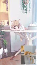 1girl 40hara animal_ears animated blinking blunt_bangs bottle cat cat_ears cat_girl cat_tail closed_mouth crossed_arms green_eyes hanging_plant highres kinako_(40hara) looking_at_viewer lying on_stomach on_table orange_cat original photo-referenced photo_inset plant potted_plant reference_inset shirt solo table tail tail_wagging tissue tissue_box video white_shirt wooden_floor