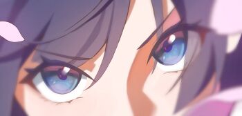 1girl absurdres blue_eyes blue_hair commentary_request eye_focus hashtag-only_commentary highres link!_like!_love_live! looking_at_viewer love_live! murano_sayaka pink_petals solo sunkeun v-shaped_eyebrows virtual_youtuber