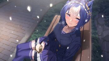 Rule 34 | 1girl, animal ears, bench, blue coat, blue hair, blush, braid, breasts, buttons, cesario (umamusume), closed mouth, coat, collarbone, commentary request, crown braid, double-breasted, food, hair between eyes, highres, holding, holding food, horse ears, horse girl, kagari liroi, large breasts, looking at viewer, medium breasts, multicolored hair, on bench, outdoors, purple eyes, purple sailor collar, purple serafuku, purple shirt, purple skirt, purple thighhighs, sailor collar, sailor shirt, school uniform, serafuku, shirt, short hair, sitting, skirt, smile, snowing, steamed bun, textless version, thighhighs, tracen school uniform, tracen winter coat, umamusume, walkway, white hair, winter clothes, winter coat, winter uniform
